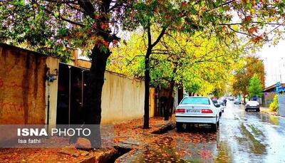 رگبار باران در برخی استان‌ها