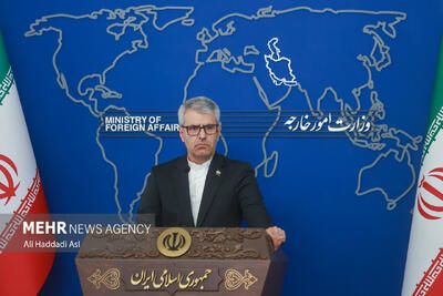  بقایی: مشهد میزبان دومین اجلاس بین‌المللی دیپلماسی استانی خواهد بود