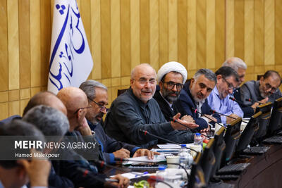 نشست مجمع نمایندگان استان تهران با حضور رئیس مجلس