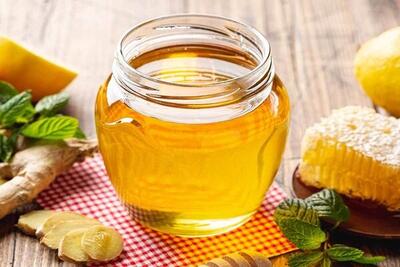  رونمایی از نخستین کیت ایرانی رتبه‌بندی عسل بر اساس خواص دارویی