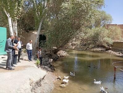 خطر خشک شدن برکه شاهنجرین/ طرح مطالعاتی چشمه «شاهنجرین» درگزین تدوین می‌شود