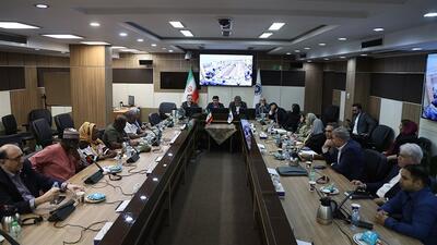 شرکت‌های ایرانی آماده ورود به بازار چهار کشور آفریقایی