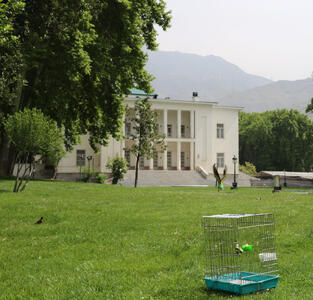 زندگی پنهان در موزه‌های تهران