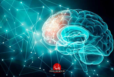 55 تا 60 سالگی، اوج توان ذهنی انسان