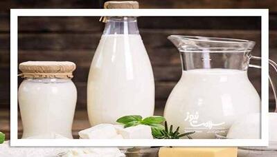 لبنیات فله؛ تهدید جدی برای سلامت، خطر ابتلا به تب مالت