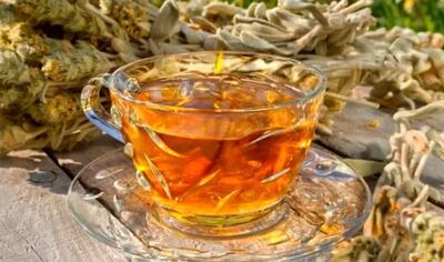  همه چیز درباره چای کوهی: تنظیم فشار خون و تقویت قلب و عروق
