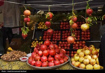 جشنواره انار تفت؛ احیای برند باغشهر و معرفی میوه‌ای استراتژیک - تسنیم