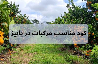 انتخاب کود برای مرکبات در پاییز
