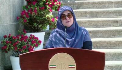 وعده سخنگوی دولت برای مهار نوسانات ارزی