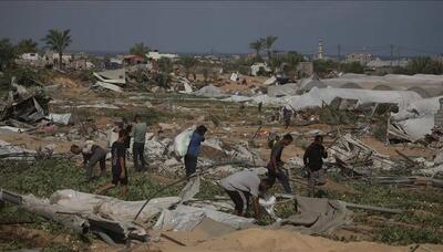  ۹۰ درصد امکانات کشاورزی غزه نابود شده است