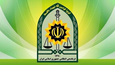 توضیح پلیس تهران درباره بازداشت بازیگر معروف سینما