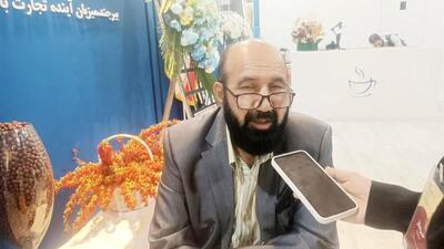  نمایشگاه بیرجند زمینه‌ساز توسعه همکاری ایران و افغانستان در بخش بهداشت و درمان خواهد بود