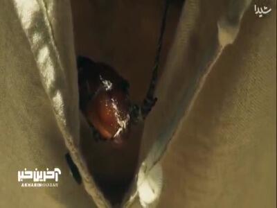  دختر بصیر الملک عاشق پسر نجار شد؟