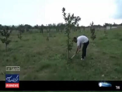  ویلاهای غیرمجاز جای خود را به باغ پرتقال داد