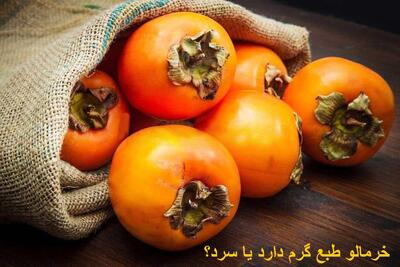  خرمالو طبع گرم دارد یا سرد؟ آیا خرمالو باعث یبوست میشود؟