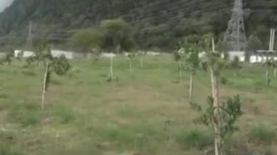  محل تخریب ۶۴ ویلای مجلل غیرمجاز به چه تبدیل شد؟