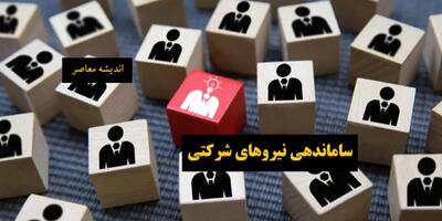 تکلیف نیروهای شرکتی بالاخره مشخص می‌شود؟ / جزئیات جدید از طرح ساماندهی کارکنان دولت / خبر خوش استخدام و رسمی‌سازی نیروهای شرکتی در راه است