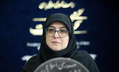 مهاجرانی: بازگشت حجاب با زور ممکن نیست