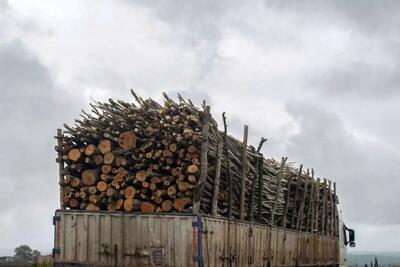  توقیف ۳۲ تن چوب قاچاق در زنجان