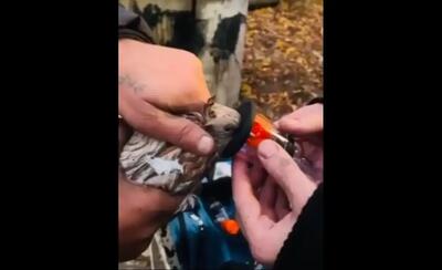  نجات کبوتر با ماسک اکسیژن در آتش‌سوزی مسکو (فیلم)