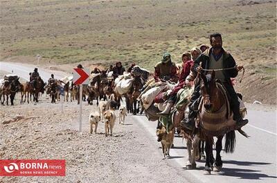  سرمای زودرس کوچ عشایر کرمانشاه را جلو انداخت