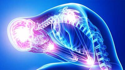  اثرات مخرب استرس بر سیستم ایمنی