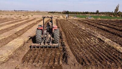  آغاز کشت پاییزه در نگارستان ایران