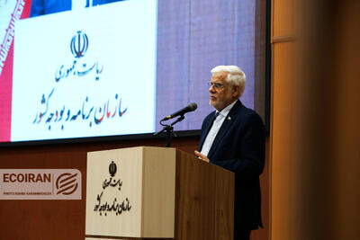  عارف در سازمان برنامه و بودجه