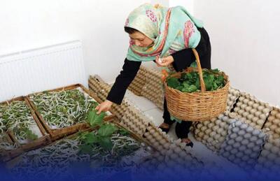  سقف تسهیلات خوداشتغالی افزایش یافت - اکونیوز