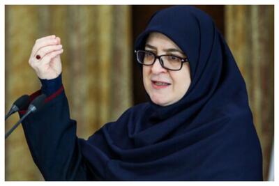  سخنگوی دولت: تصمیمی برای بازگرداندن قطعنامه‌های لغوشده اتخاذ نشده | از تماس با ویتکاف اطلاعی ندارم | تجربه اعمال زور در مورد حجاب شکست خورده است