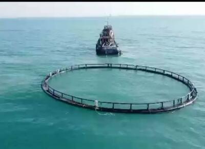 حفظ ذخایر ژنتیکی دریاها اولویت ملی است