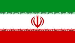 این کشتی گیر به پرچم ایران تعظیم کرد + فیلم