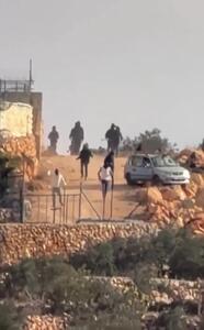  باغ‌های زیتون فلسطین رنگ خون گرفت +فیلم