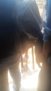  پس از اختلال در خط ۵ مترو، مسافران درب‌های خروج اضطراری را باز کرده‌اند و وارد ریل مترو شده‌اند + فیلم