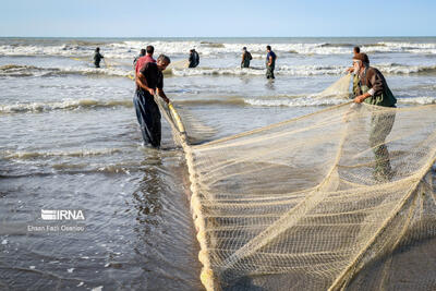  تور صیادان شرق مازندران در خزر پهن شد