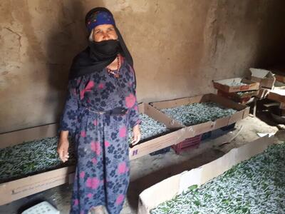  ثبت جهانی و ملی سه شهر و روستای خراسان شمالی در دستور کار میراث‌فرهنگی