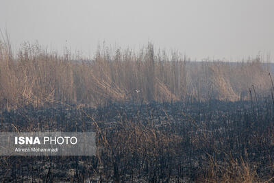  تداوم خودسوزی بخش عراقی هورالعظیم تا پایان آبان