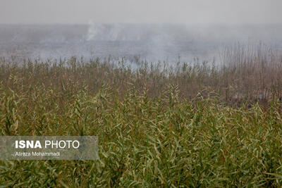  هوای سوسنگرد در شرایط «بسیار ناسالم»/ همه ایستگاه‌های اهواز در وضعیت «قرمز»