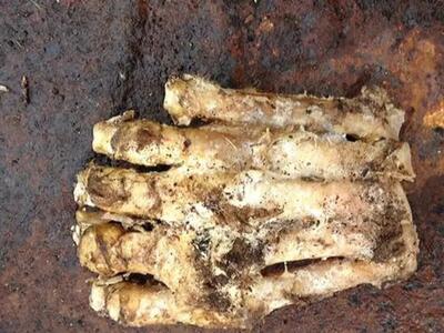  آیا قابیل همان بیگ‌فوت است؟