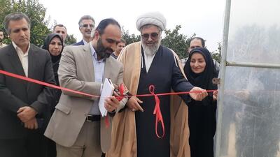  ۷۵۰ هکتار از اراضی مازندران به کشت گلخانه‌ای سربسته اختصاص یافت