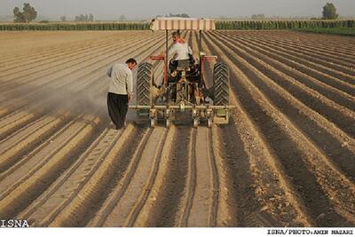  آغاز سال زراعی جدید در گلستان با برنامه‌ریزی برای کشت ۷۱۲ هزار هکتار