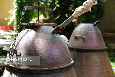  تعطیلی گلاب‌گیری به علت تقلب در پروانه ساخت