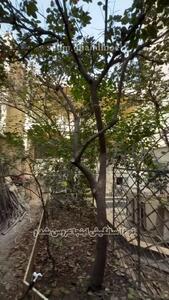  خانه فروغ فرخزاد