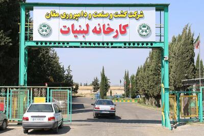  تلف شدن بیش از ۷۰۰ راس احشام در کشت و صنعت مغان