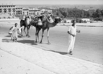 فقدان گفت‌وگو نهادمند میان ایران، ترکیه و مصر در حوزه سنت و مدرنیته / کشاکش گفتمانی سنت و تجدد عثمانی و مصر
