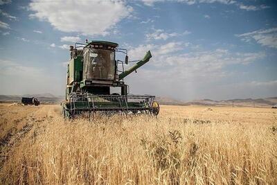  رمضانی: ۱۶۰۰ میلیارد تومان گندم در مازندران خریداری شد