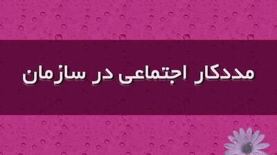 میگنا - نقش مددکاران اجتماعی در سازمان‌ها