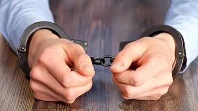  پژمان جمشیدی به اتهام تجاوز بازداشت شد!