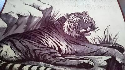  سمی‌ترین مد تاریخ ایران+ عکس