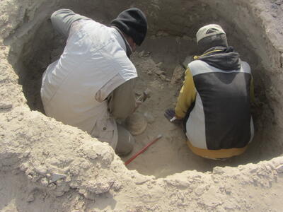 سودای دفینه به سر حافظان میراث